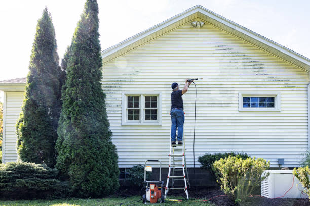 Best Building Exterior Washing  in Jeannette, PA
